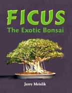 Ficus book cover